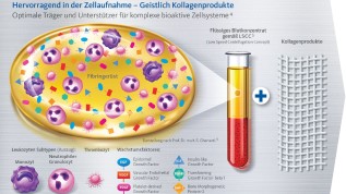 Biologisierung mit Eigenblutkonzentrat: Mythos oder Magie?