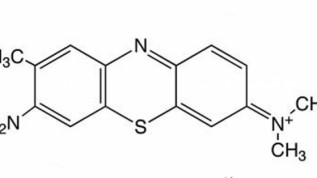 Photodynamische Therapien – Blau versus Grün