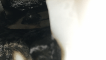 firstGalleryImage