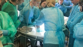 4. Nose, Sinus & Implants &ndash; Humanpr&auml;parate-Kurse