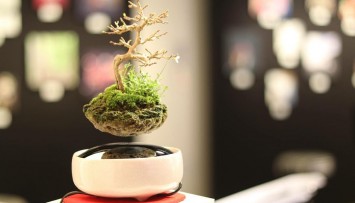firstGalleryImage