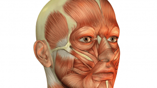 Erkrankungen der Speicheldr&uuml;sen &ndash; Teil 3