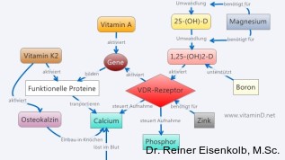 Wichtige Heilungsakteure im Hintergrund: Vitamin D3, K2 und Magnesium