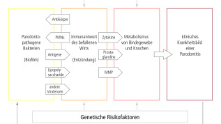Mundgesundheit und Allgemeinerkrankungen