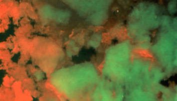 firstGalleryImage