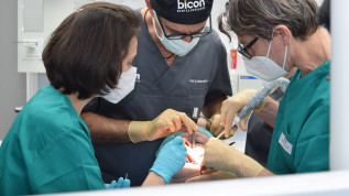 Bicon Dental Live-OP-Kurs mit Prof. Dr. Mauro Marincola