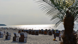 Ostseekongress/11. Norddeutsche Implantologietage