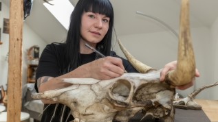 Zähne & Tierschädel: Eine ZFA wird zur Bohrer-Künstlerin