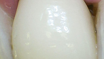 firstGalleryImage